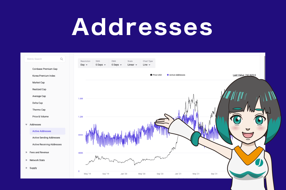 Addressesの見方/使い方