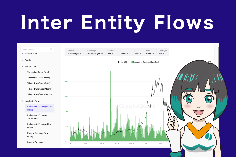 Inter Entity Flowsの見方/使い方