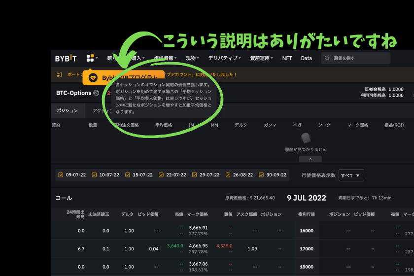 Bybit オプション 初心者ガイド