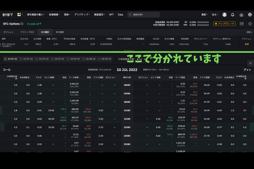 Bybit オプション 取引画面