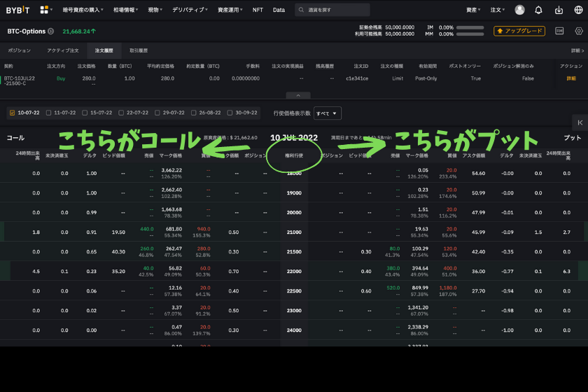 Bybit オプション オプションチェーン