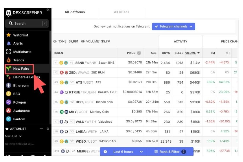 画像⑬：DEX Screener「New Pairs選択画面」