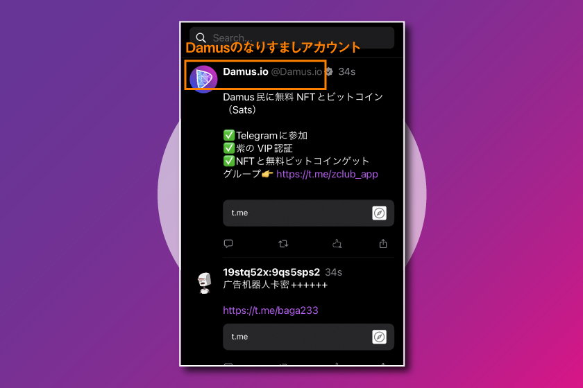 画像28：Damus使い方「Q&A2」