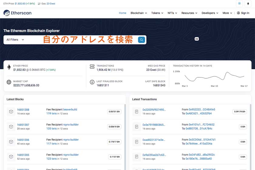 Etherscan使い方「検索」