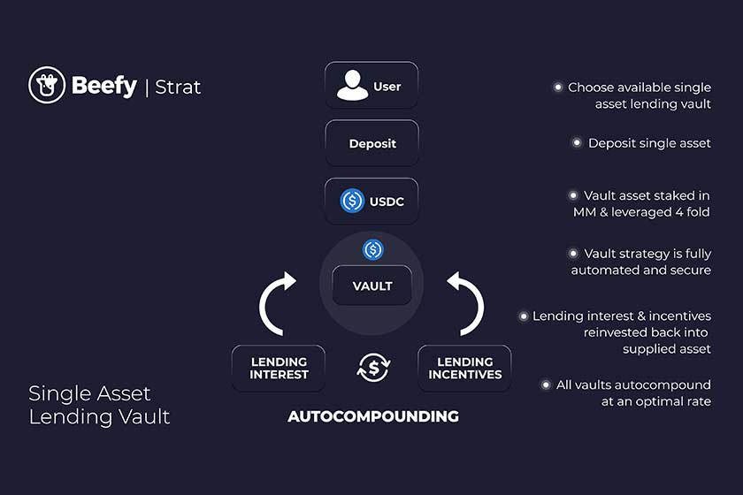 BeefyFinance使い方「VaultSingleAsset」