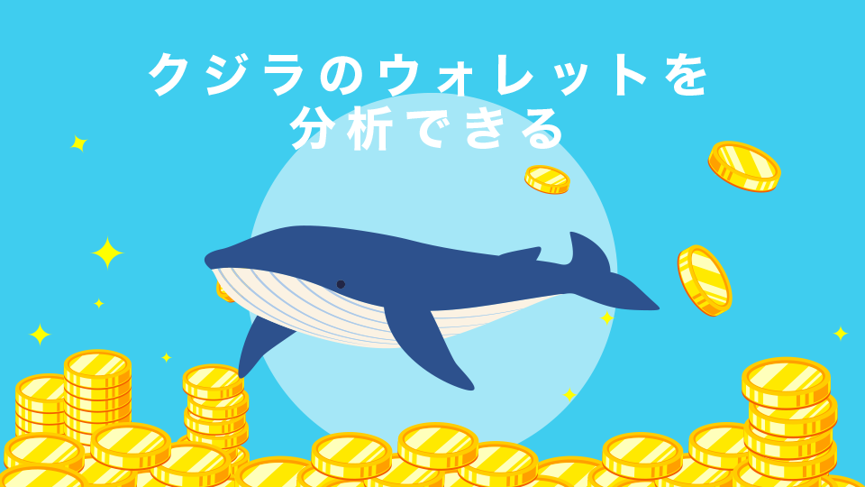 クジラのウォレットを分析できる