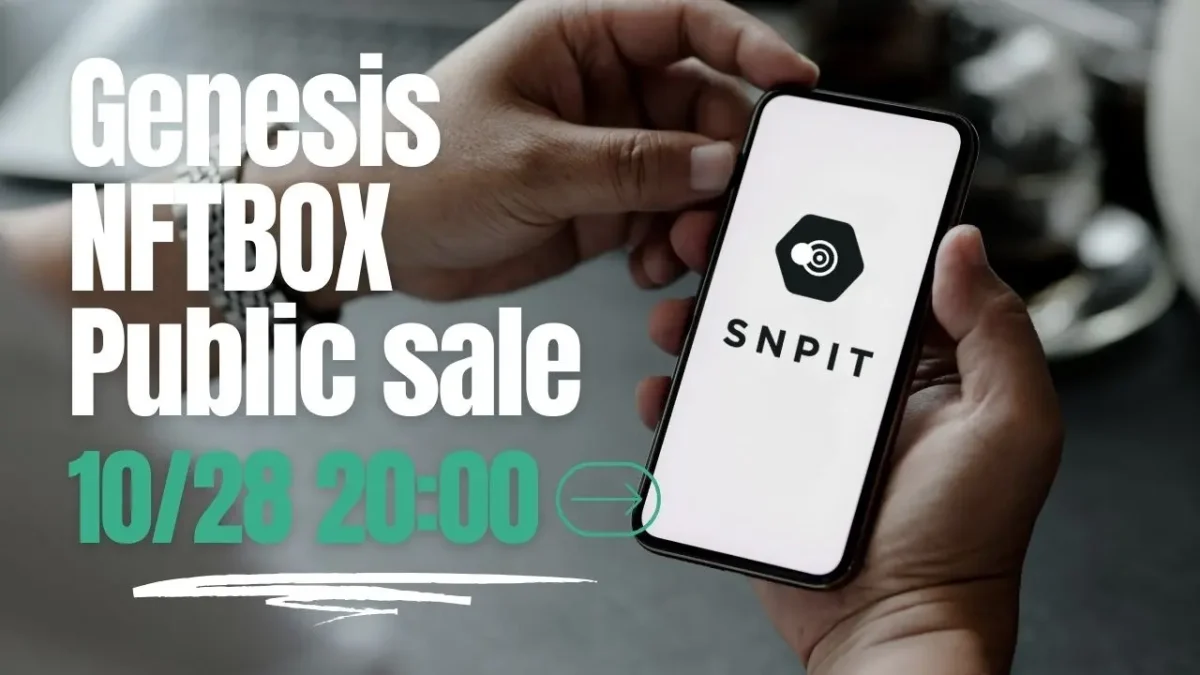 SNPIT-sale