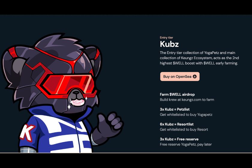 YogaPetz「Kubz【エントリーコレクション】」