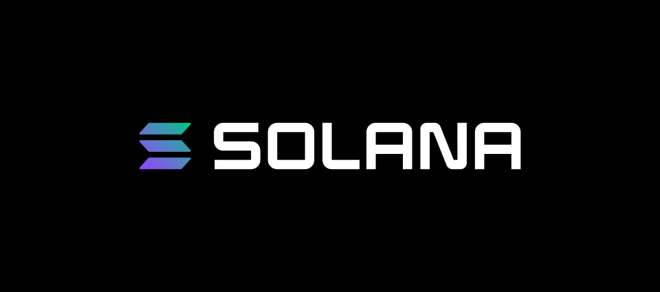 Solanaチェーンをベースに構築