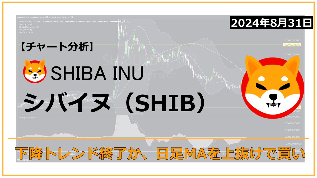 SHIB相場分析2024-08-31