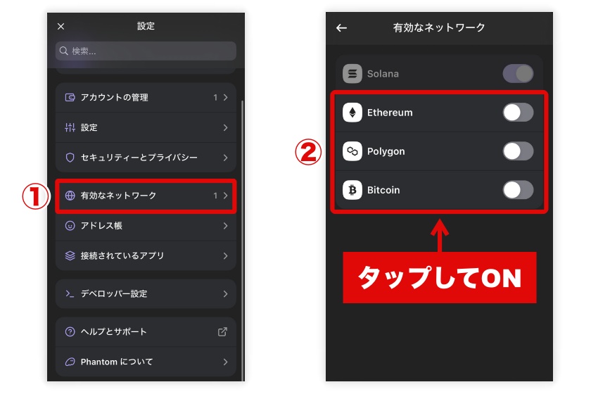 Phantom Wallet「ネットワークの追加2」