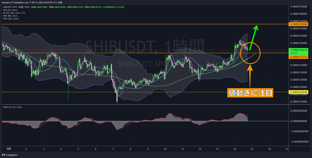 SHIBUSDT1時間足-2024-09-14