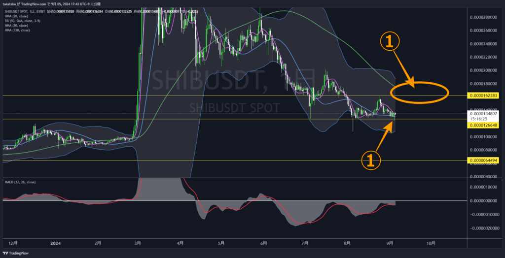 SHIBUSDT日足-2024-09-05