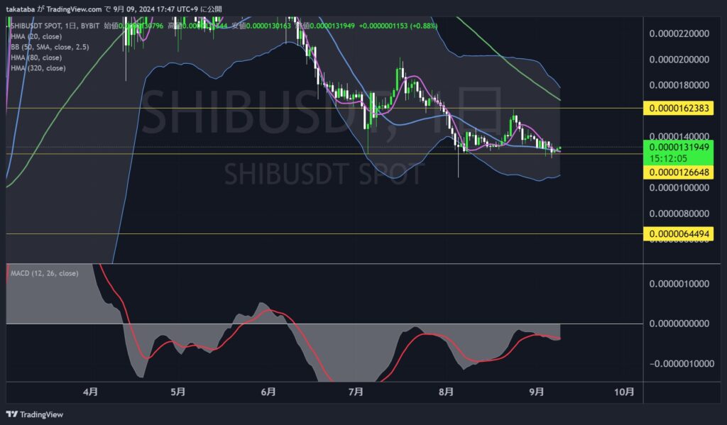 SHIBUSDT日足-2024-09-09