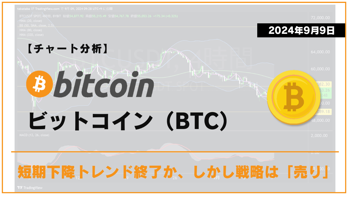 BTC相場分析-2024-09-09-02