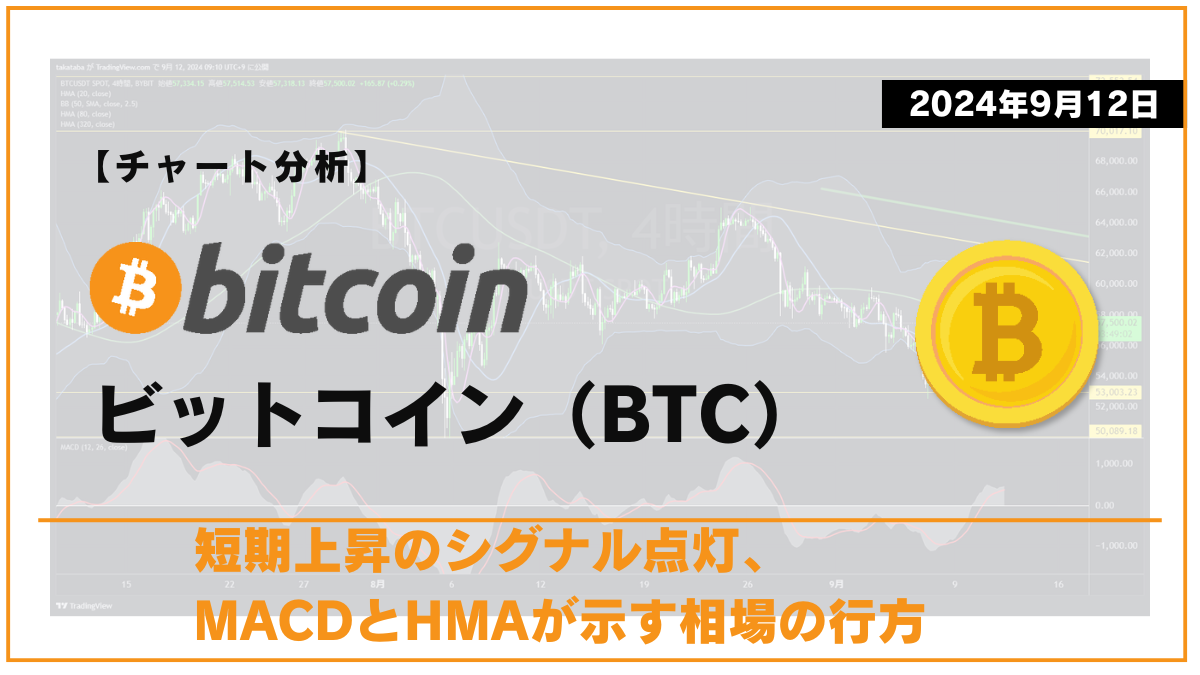 BTC相場分析-2024-09-12-02