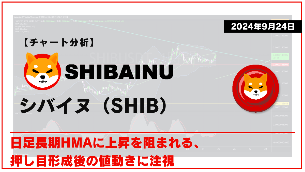 SHIB相場分析-2024-09-24