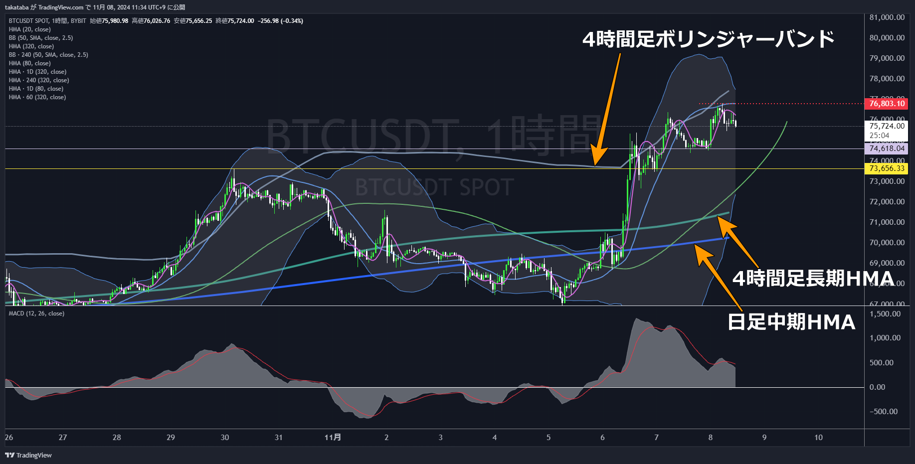 BTCUSDT1時間足-2024-11-08