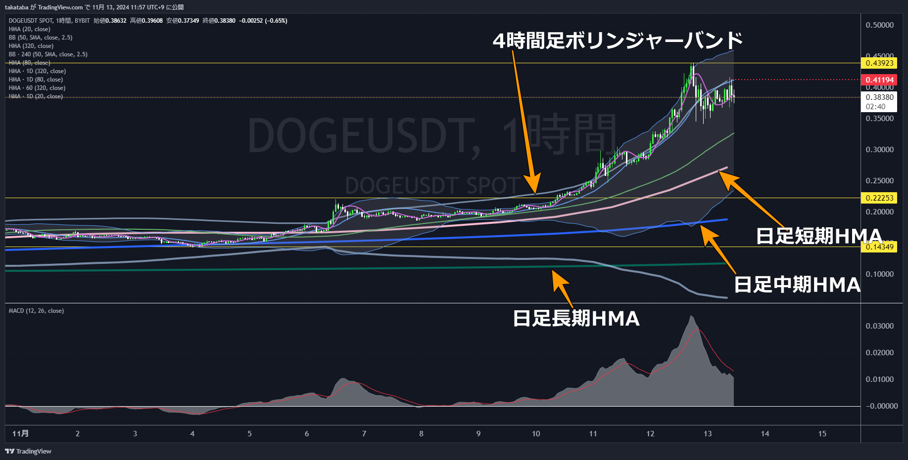 DOGE1時間足-2024-11-13