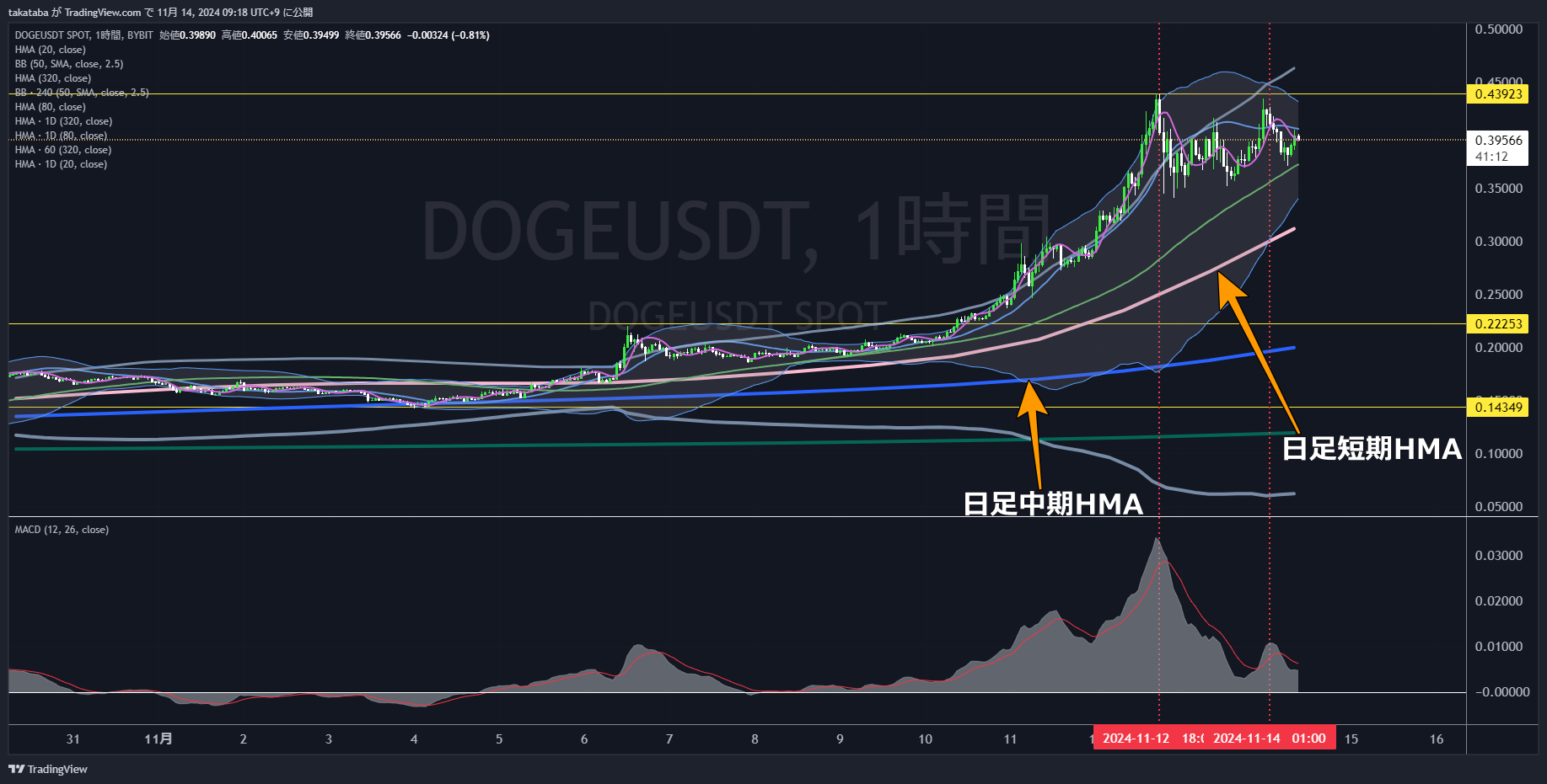 DOGEUSDT1時間足-2024-11-14