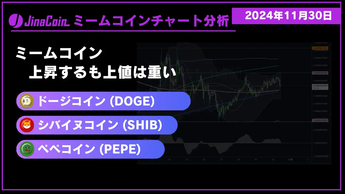 ミームコインチャート分析-2024-11-30