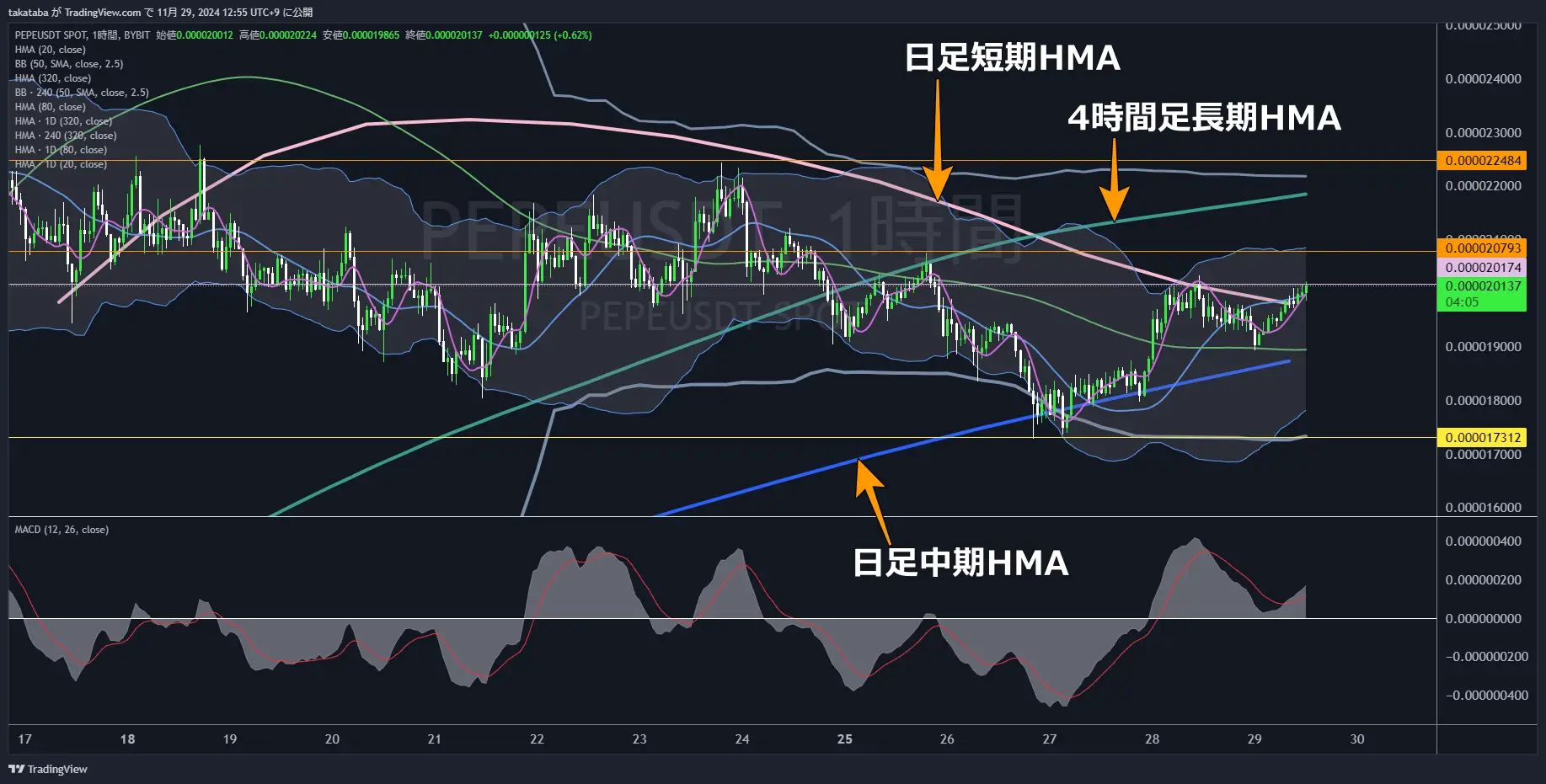 PEPEUSDT-1h-2024-11-29