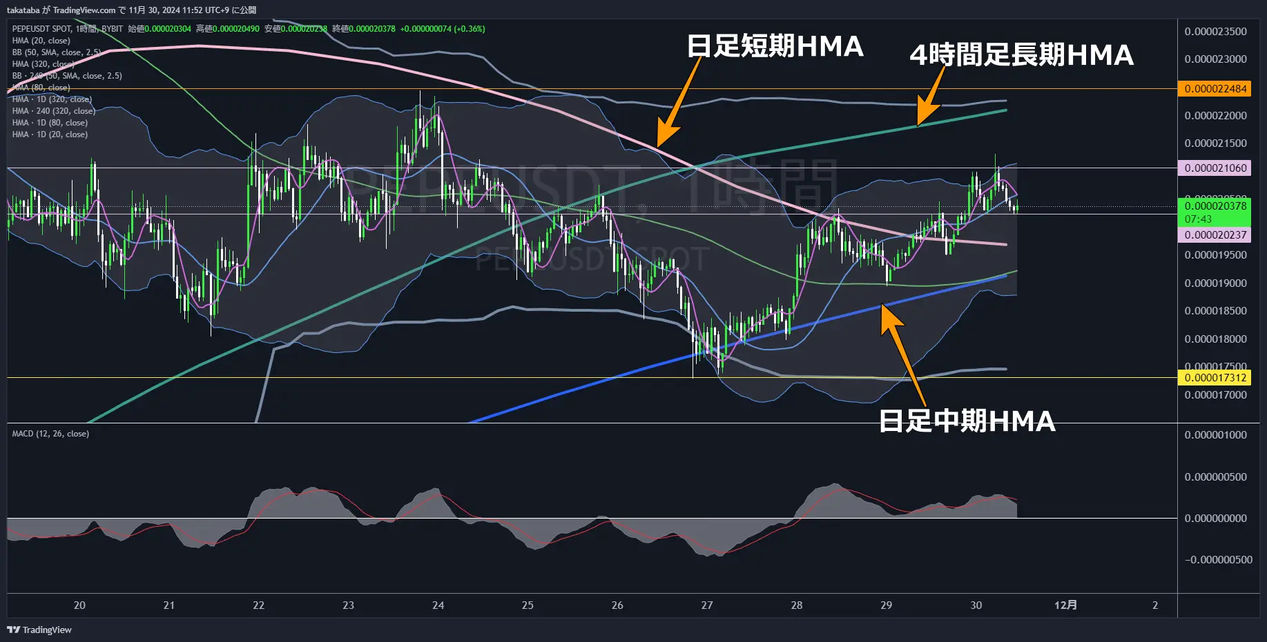 PEPEUSDT1時間足-2024-11-30