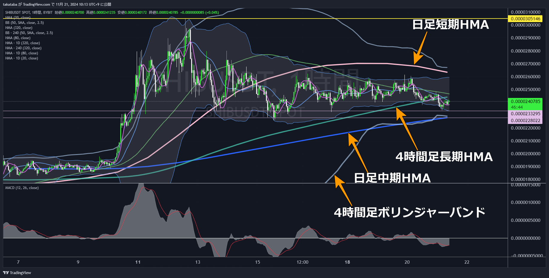 SHIBUSDT1時間足-2024-11-21