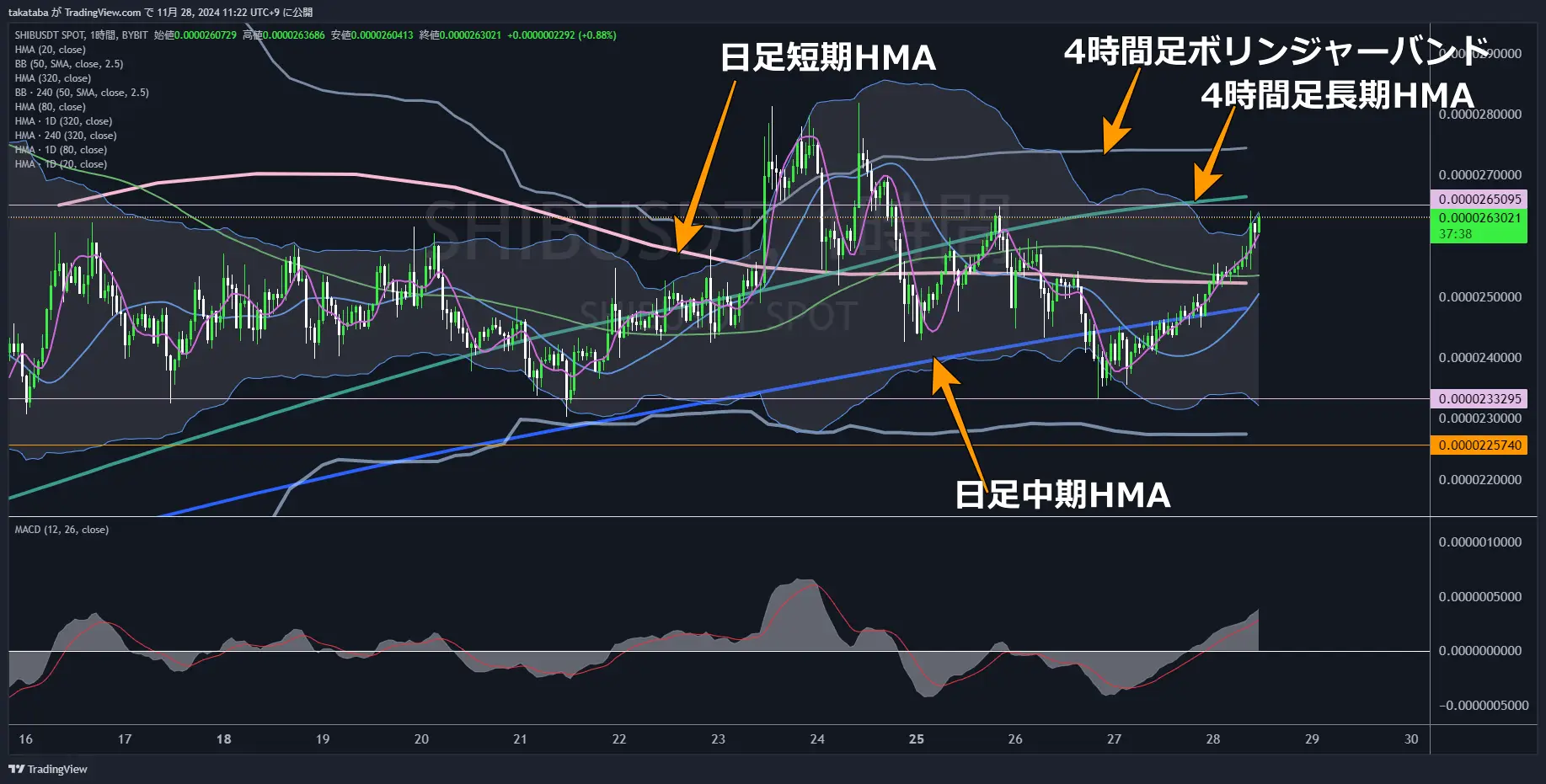 SHIBUSDT1時間足-2024-11-28