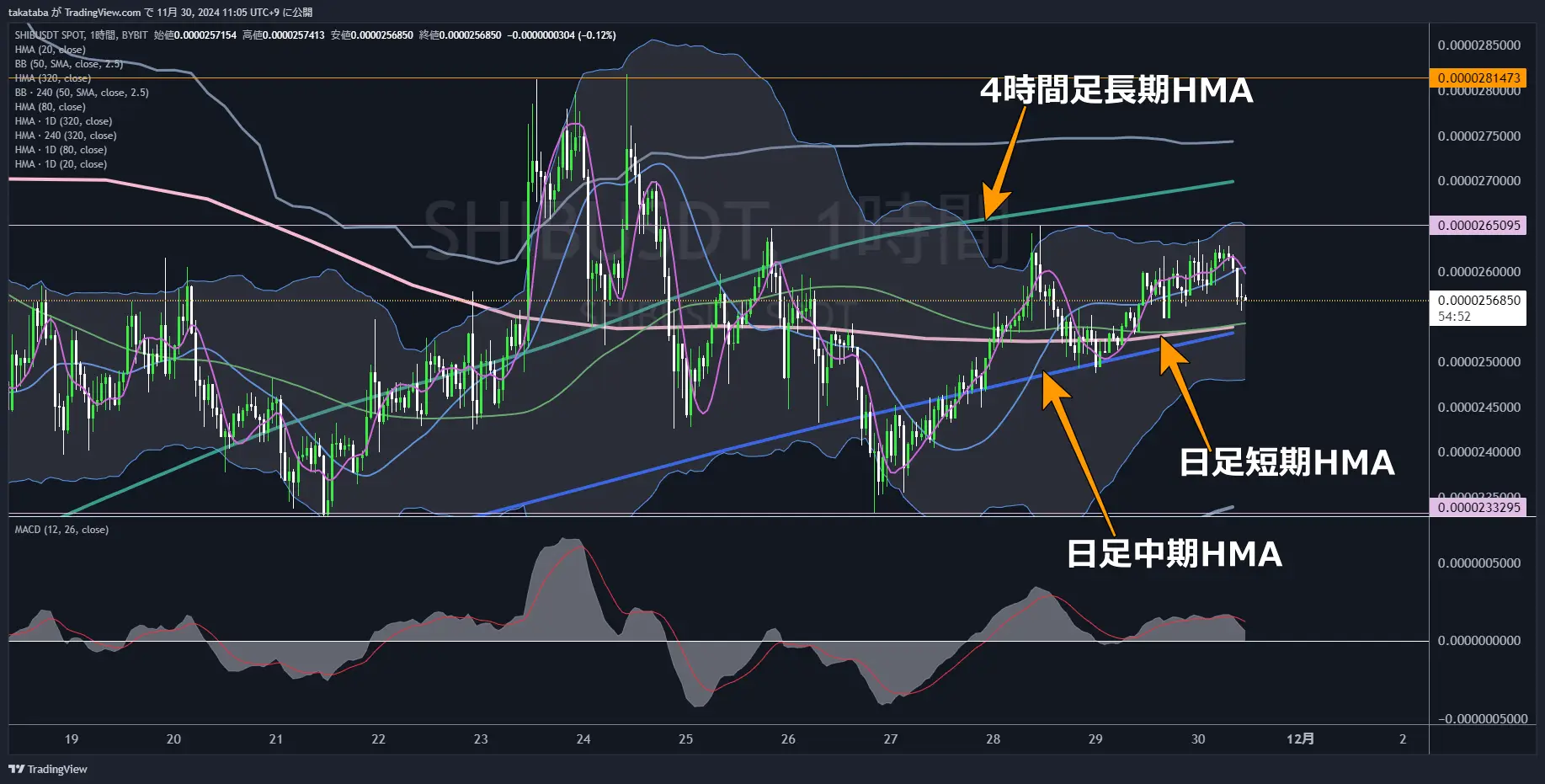 SHIBUSDT1時間足-2024-11-30