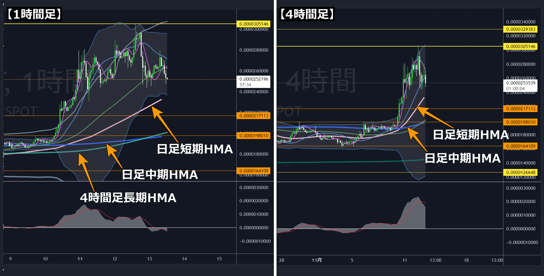 SHIB4時間足・1時間足-2024-11-13