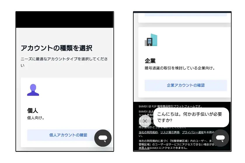 画像02：BitMEX　口座開設「アカウント種類選択」