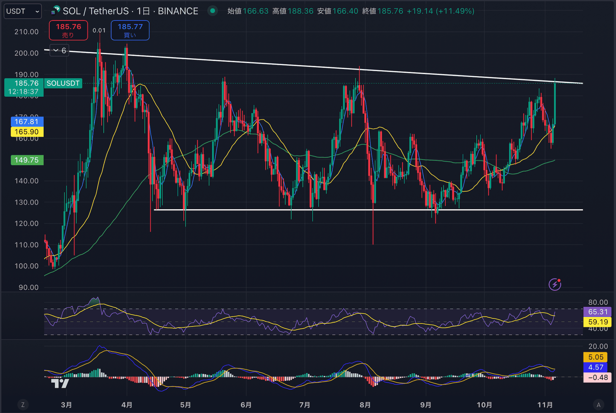 ソラナ（SOL）チャート分析【2024年11月6日】