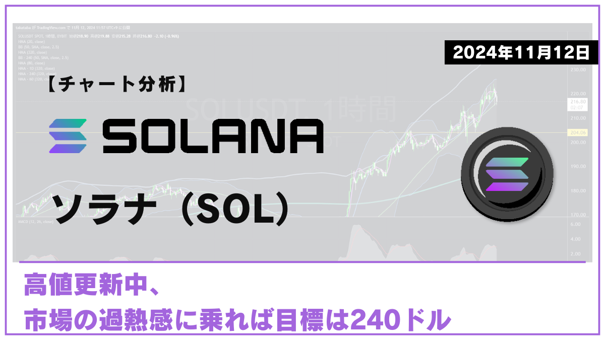 SOL相場分析-2024-11-12-01