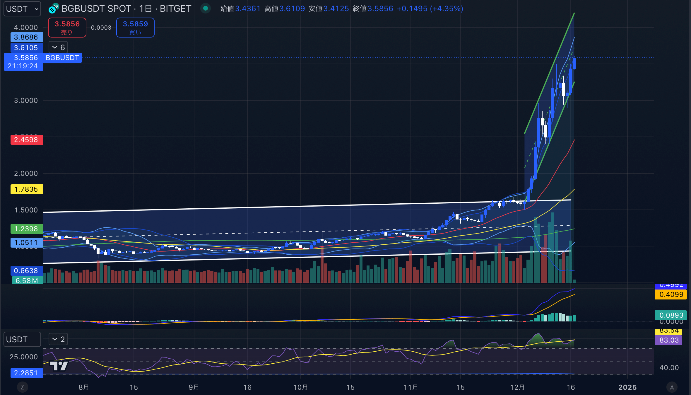 BGB　日足チャート分析 2024年12月17日