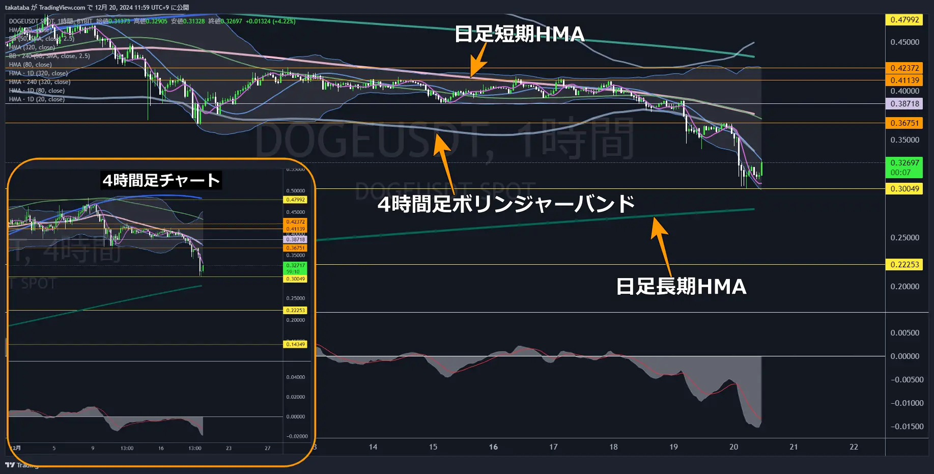 DOGEUSDT-1h-2024-12-20