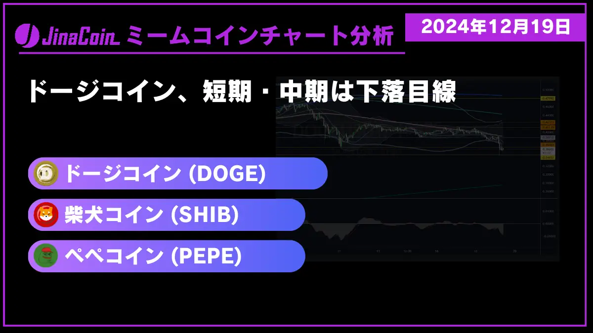 ミームコインチャート分析-2024-12-19