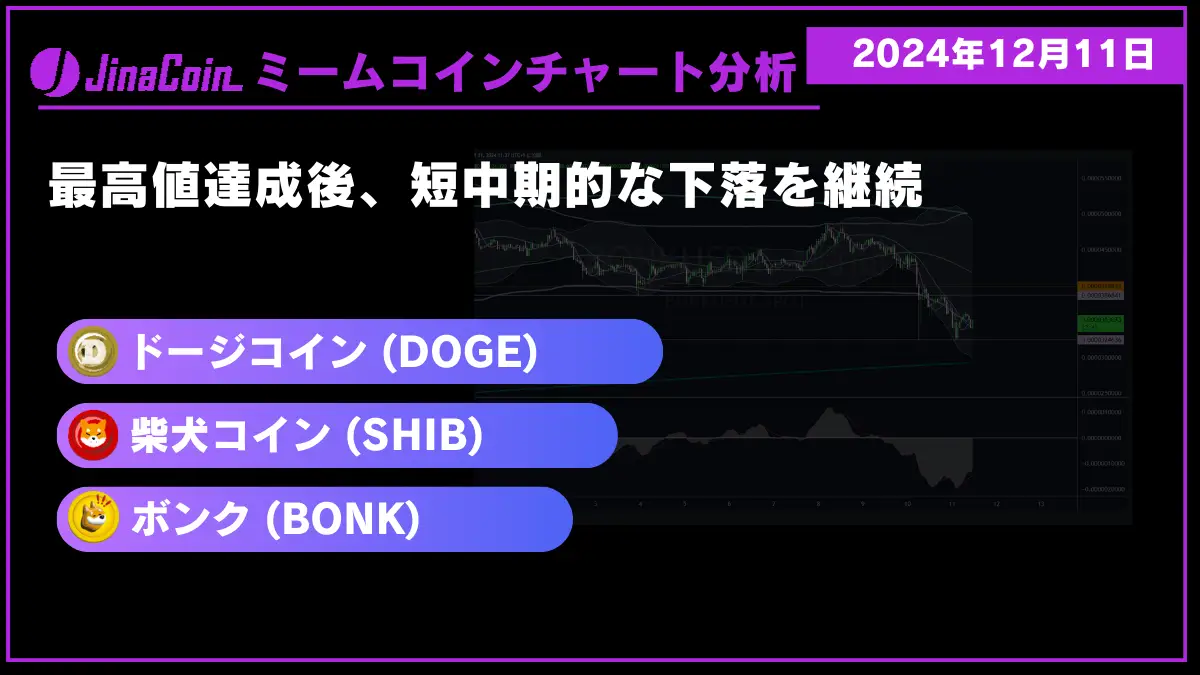 ミームコインチャート分析-2024-12-11