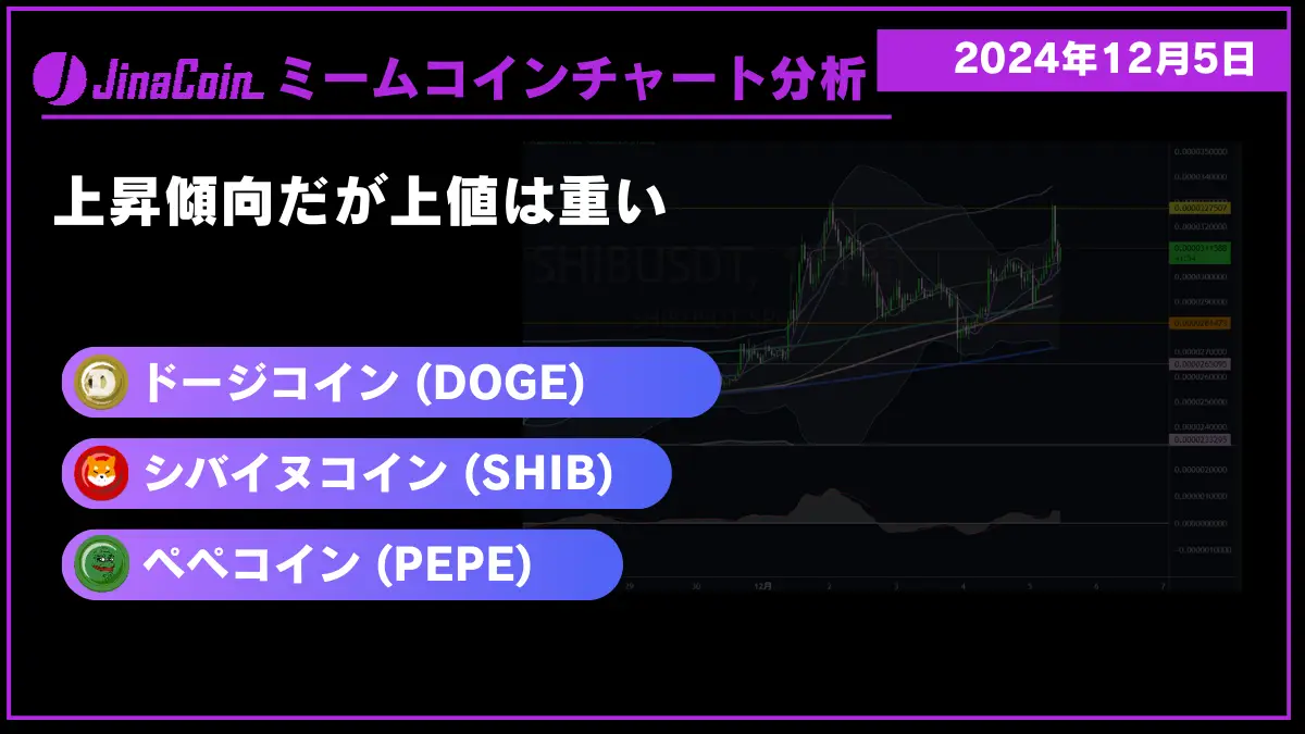 ミームコインチャート分析-2024-12-05