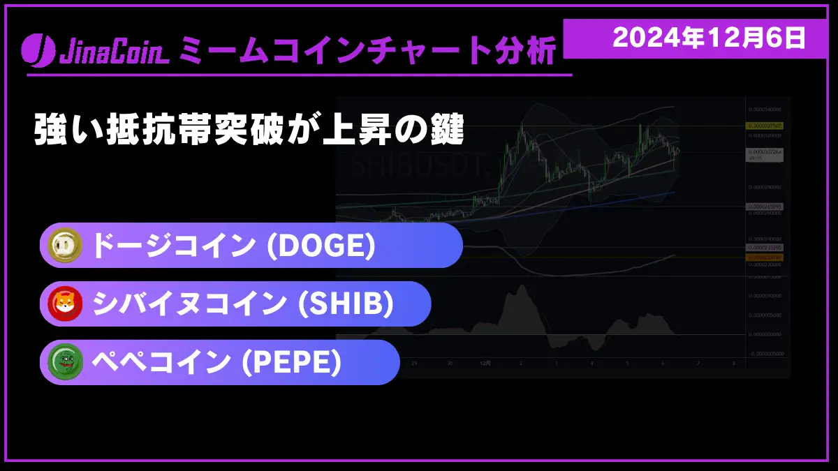 ミームコインチャート分析-2024-12-06