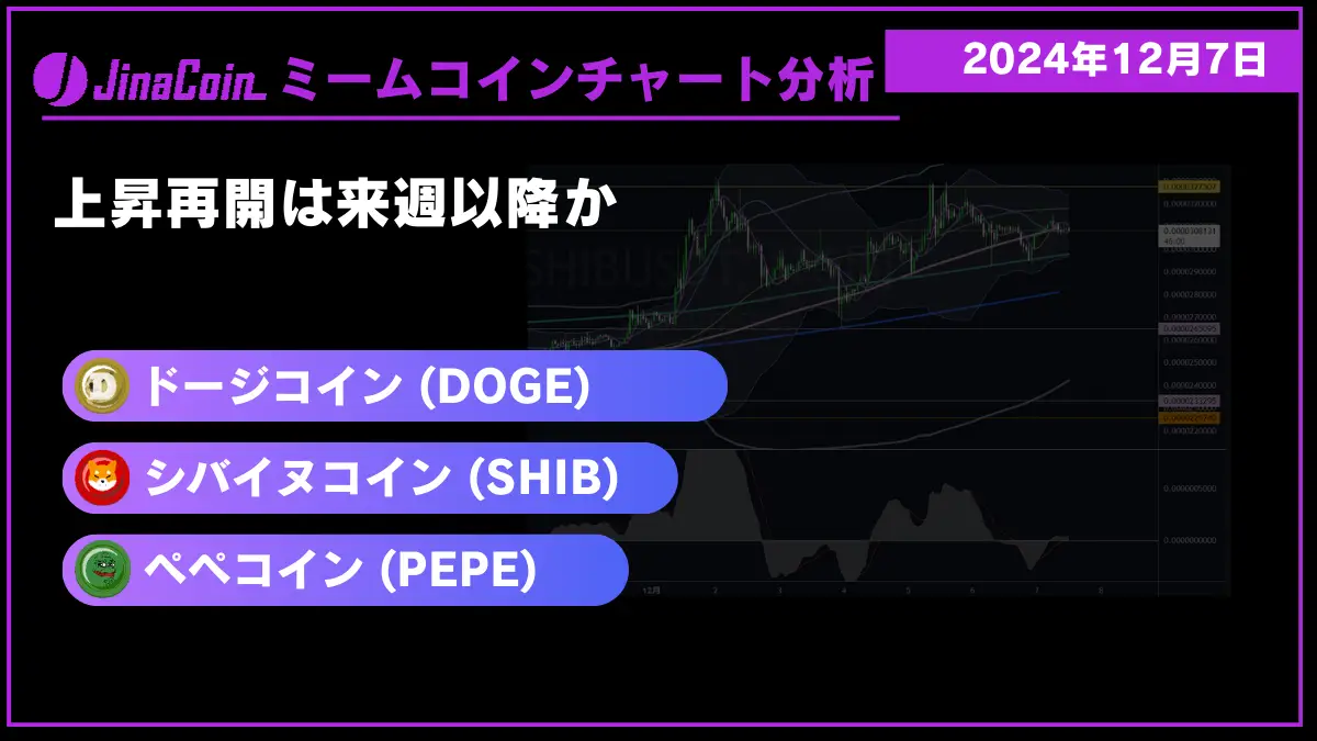 ミームコインチャート分析-2024-12-07