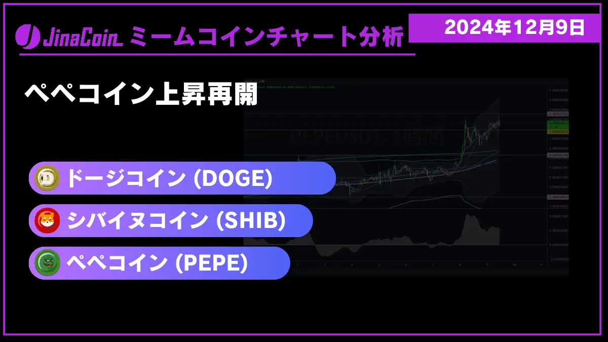 ミームコインチャート分析-2024-12-09