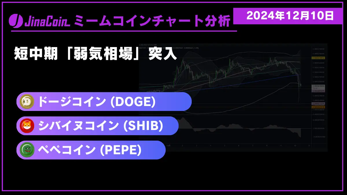 ミームコインチャート分析-2024-12-10