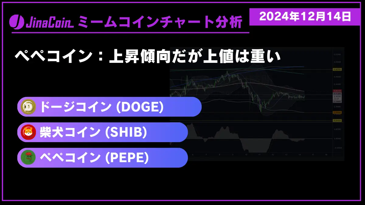ミームコインチャート分析-2024-12-14