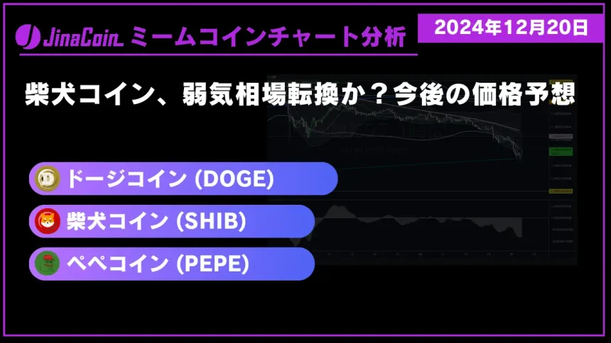 ミームコインチャート分析-2024-12-20-01
