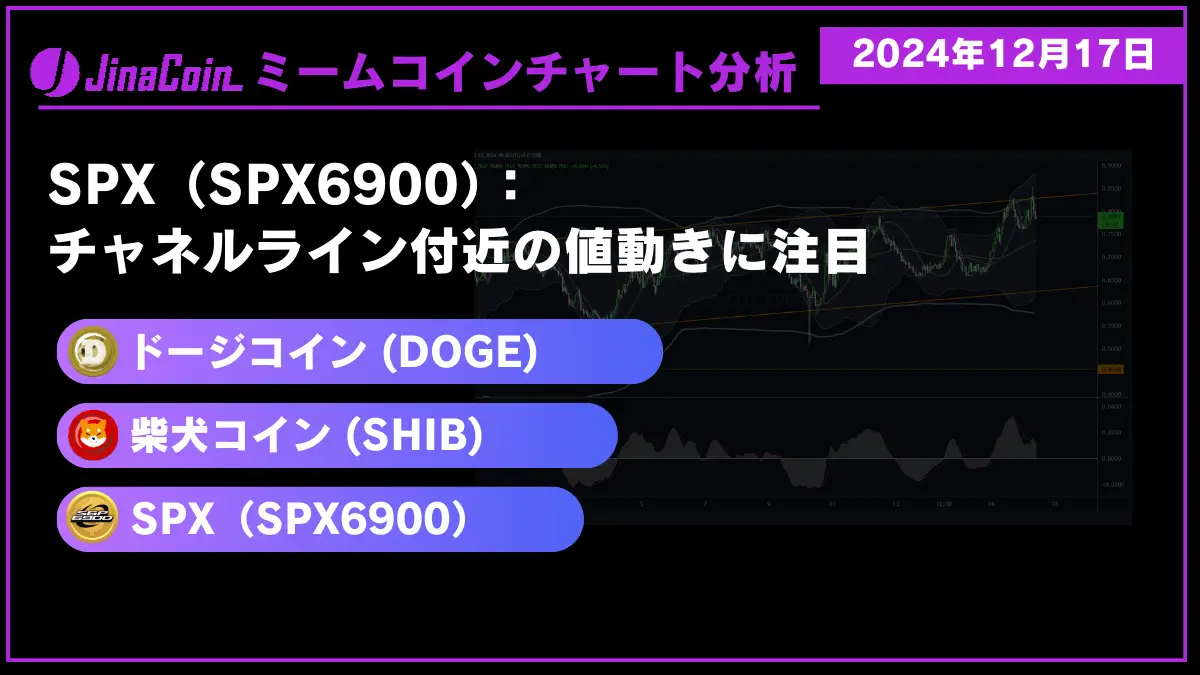 ミームコインチャート分析-2024-12-17