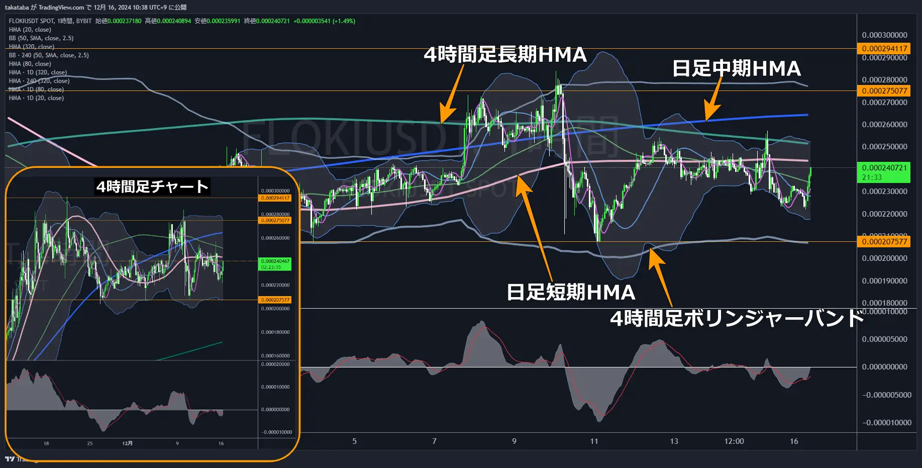 FLOKIUSDT-1h-2024-12-16