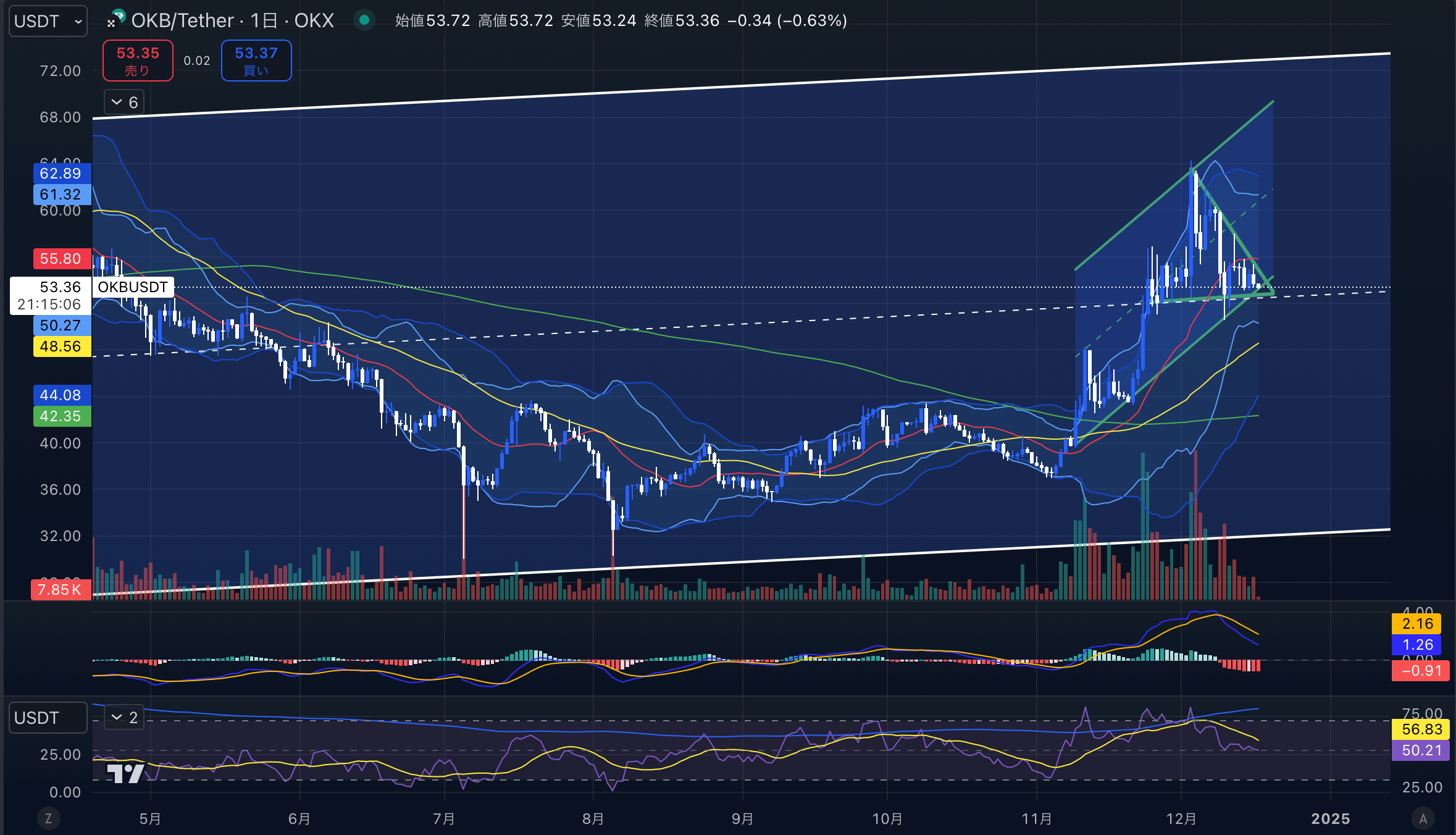 OKB　日足チャート分析　2024年12月17日