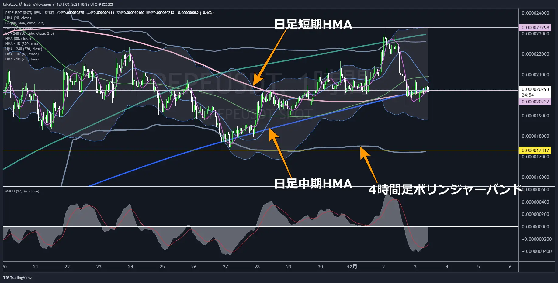 PEPEUSDT-1h-2024-12-03