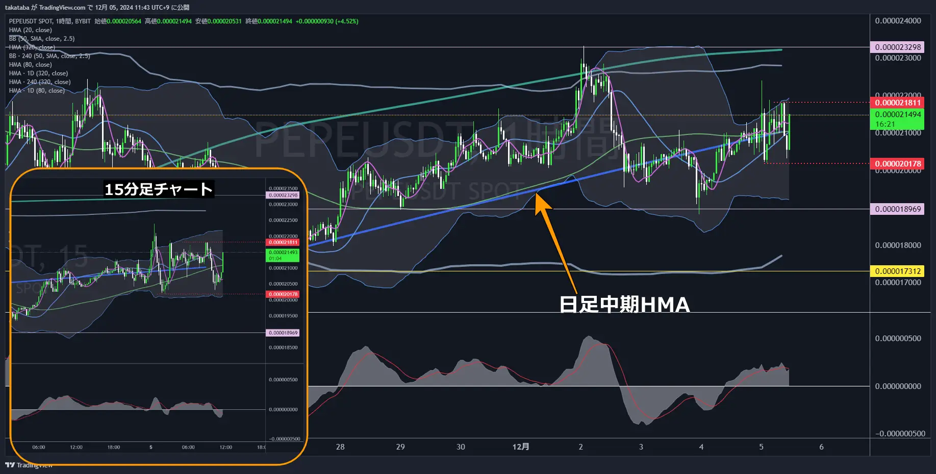 PEPEUSDT-1h-2024-12-05